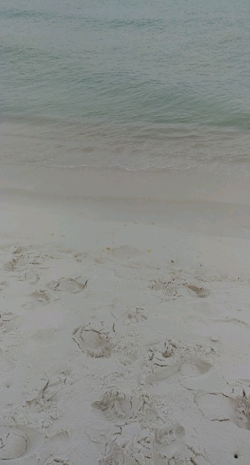 a white sand beach with footprints in it leading to clear ocean water.